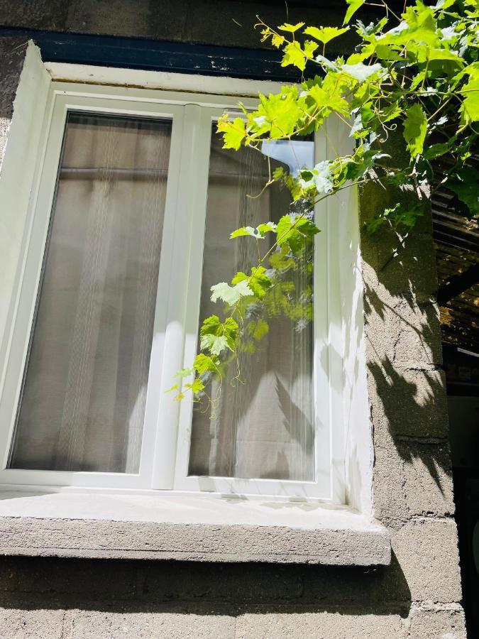 Studio Independant De 25M2 Apartment Vitry-sur-Seine Bagian luar foto